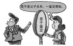 杭州亲子鉴定在哪里做，杭州亲子鉴定要多少费用