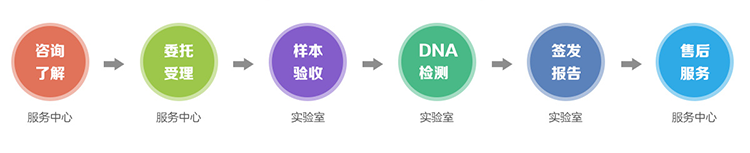 个人亲子鉴定流程